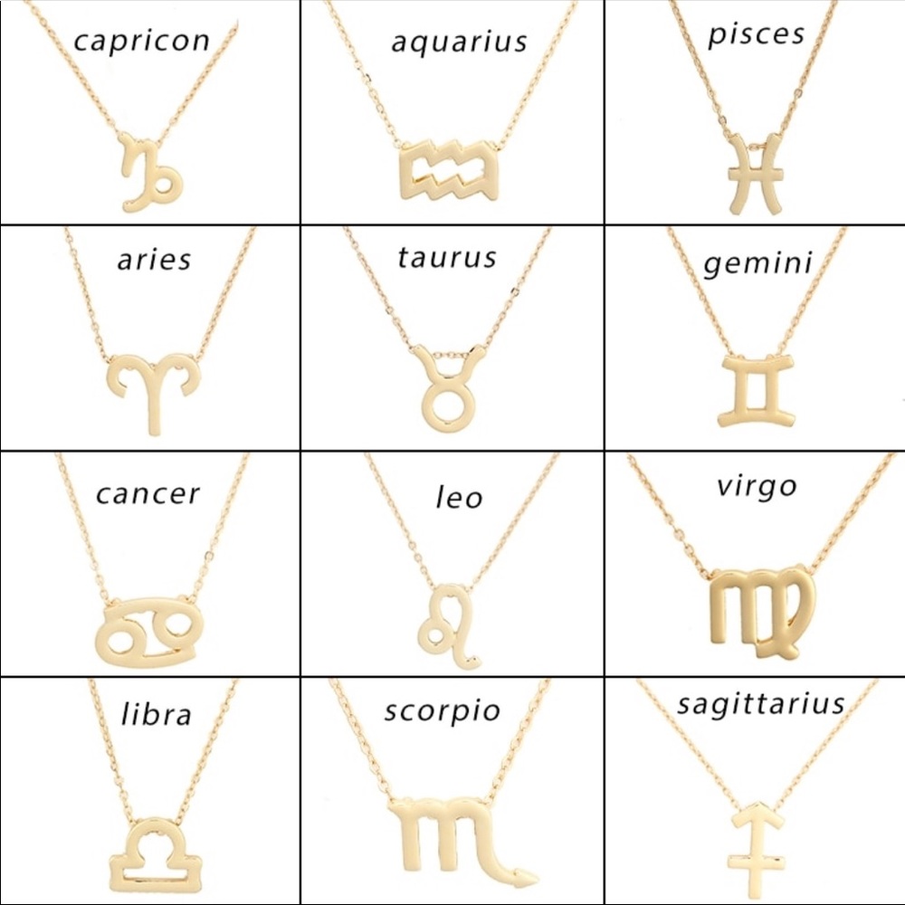 Dainty Astrology Zodiac Pendant Necklace - Picture 3 of 8